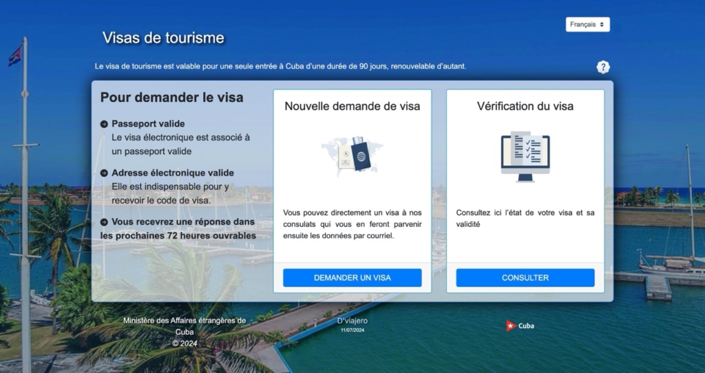 E-Visa application portal shown on a laptop screen
