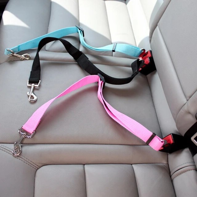 Ceinture de sécurité pour chien ou chat